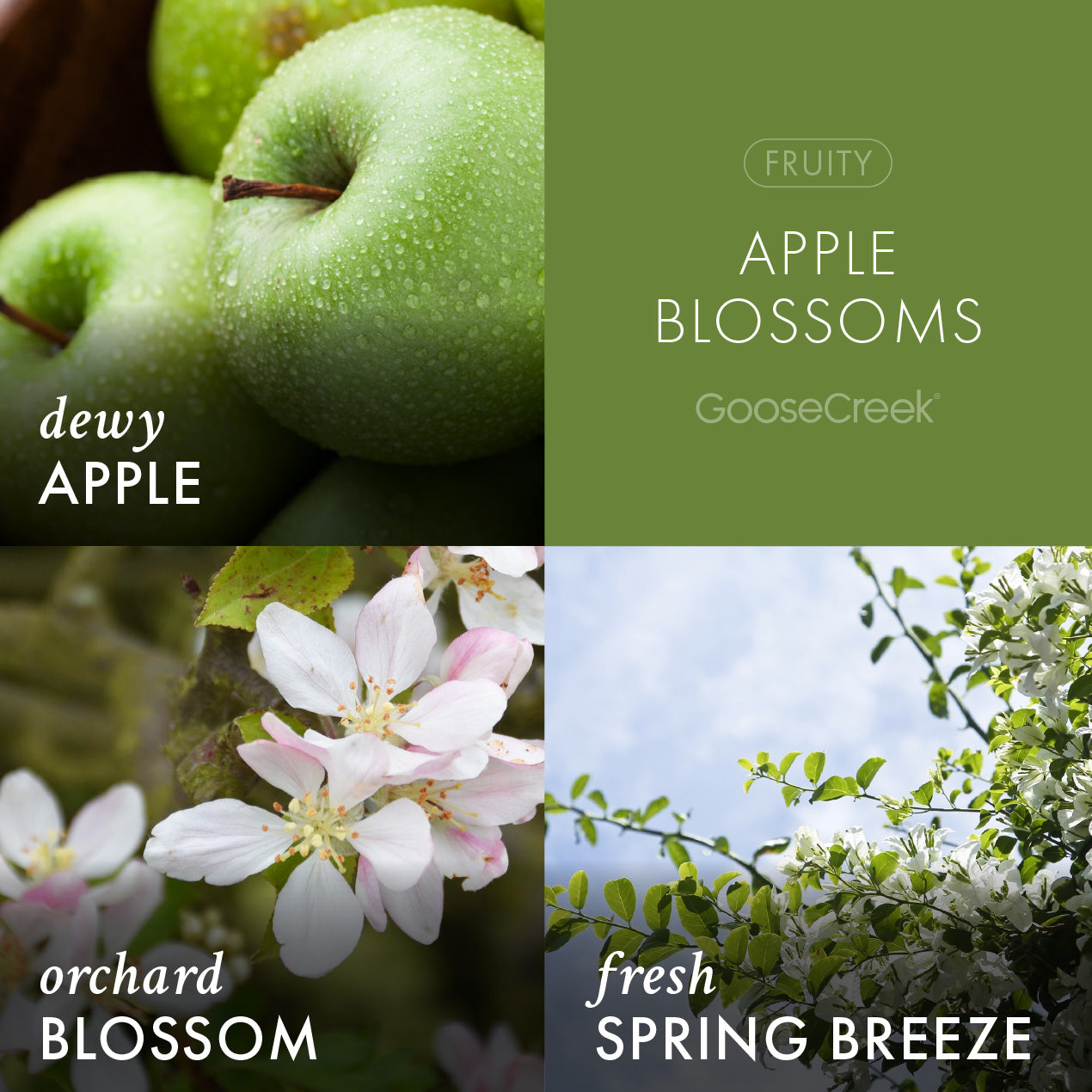 Apple Blossoms Lush Foaming Hand Soap