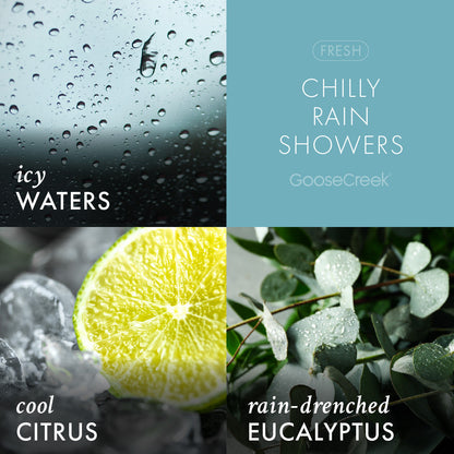 Chilly Rain Showers Lush Foaming Hand Soap