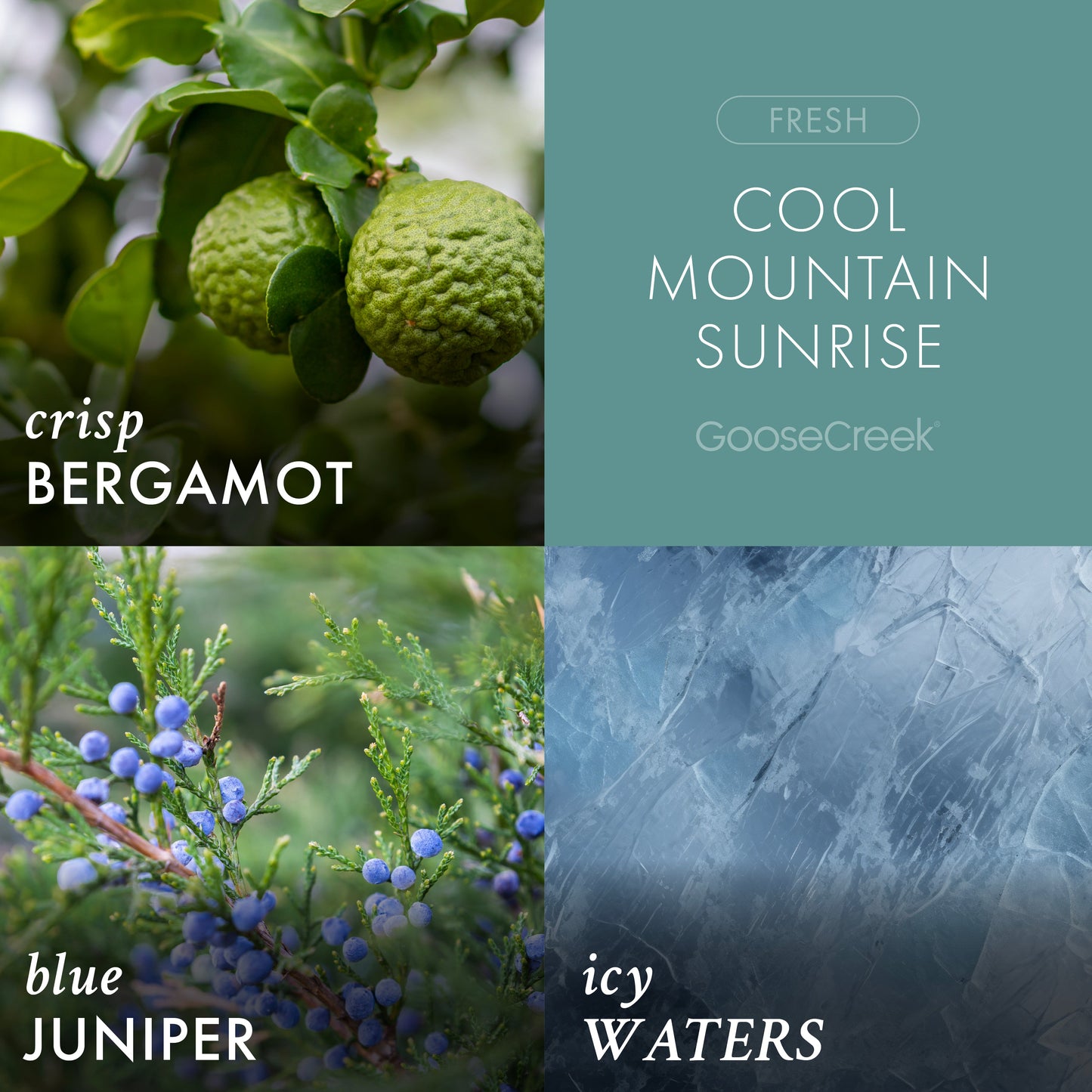 Cool Mountain Sunrise 3-Wick Candle