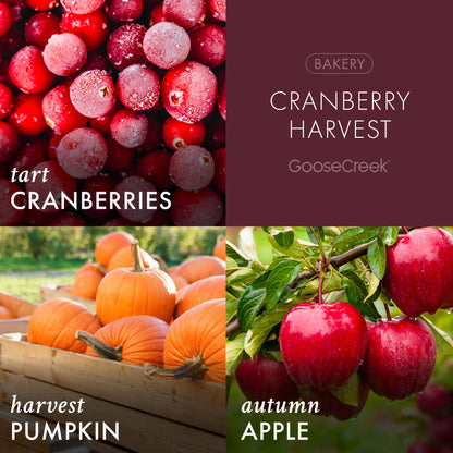 Cranberry Harvest 3-Wick Candle