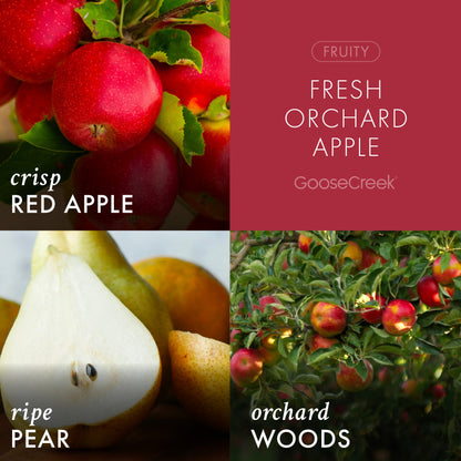 Fresh Orchard Apple 3-Wick Candle