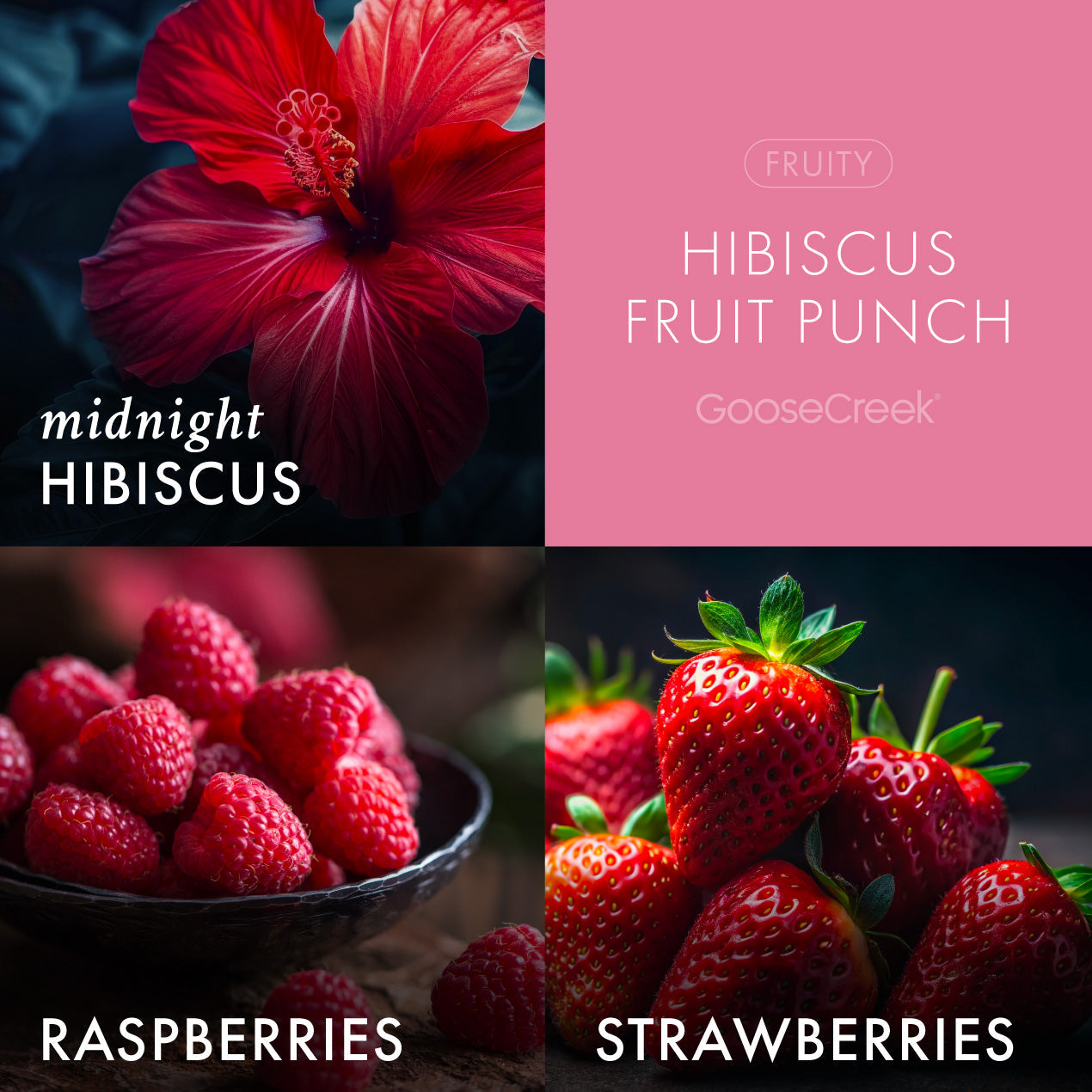 Hibiscus Fruit Punch Plug-in Refill
