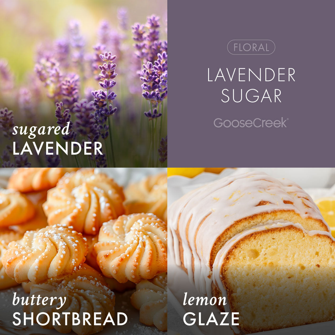 Lavender Sugar 3-Wick Candle