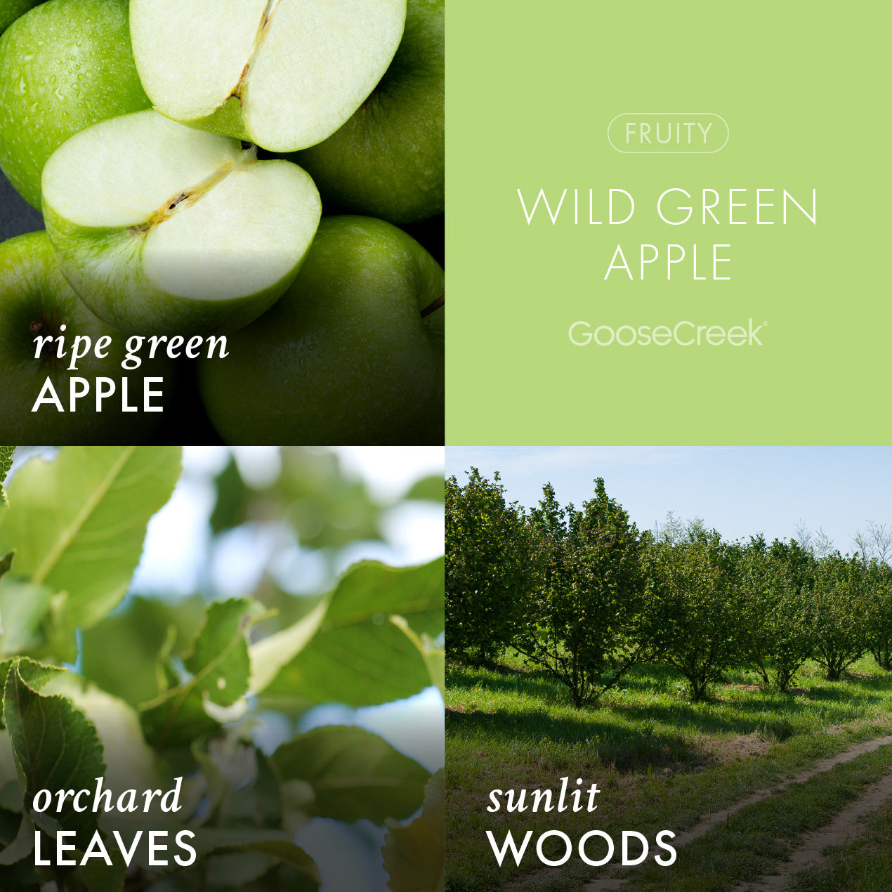 Odor Eliminating Wild Green Apple Plug-in Refill
