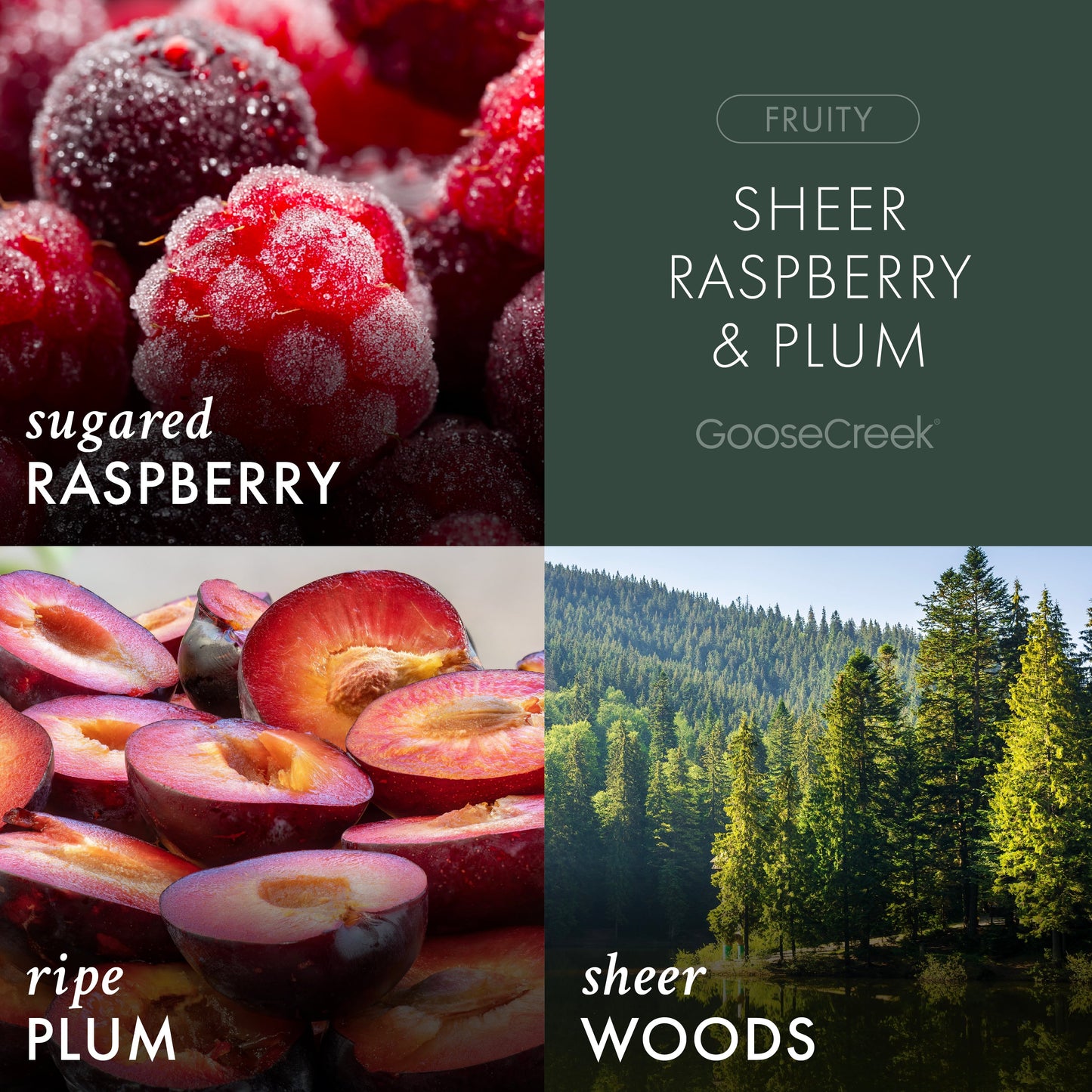 Sheer Raspberry & Plum 3-Wick Candle