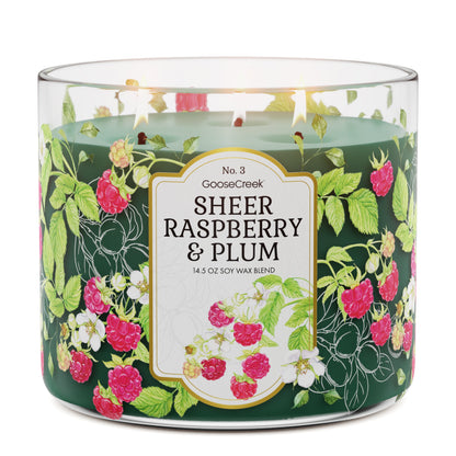 Sheer Raspberry & Plum 3-Wick Candle