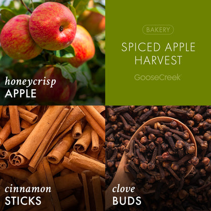 Spiced Apple Harvest 3-Wick Candle